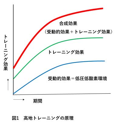 図1 高地トレーニングの原理